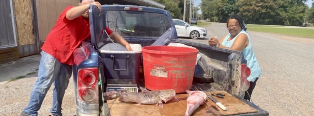 t o n y t h a r p . n e t