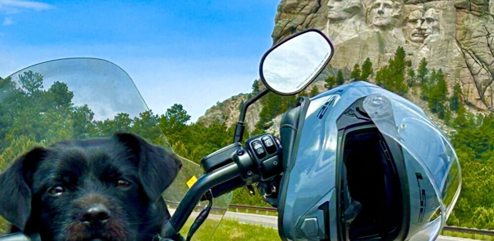 t o n y t h a r p . n e t